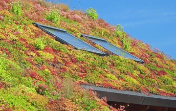 Bonchurch living roof systems