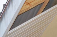 rated Bonchurch soffit repair companies